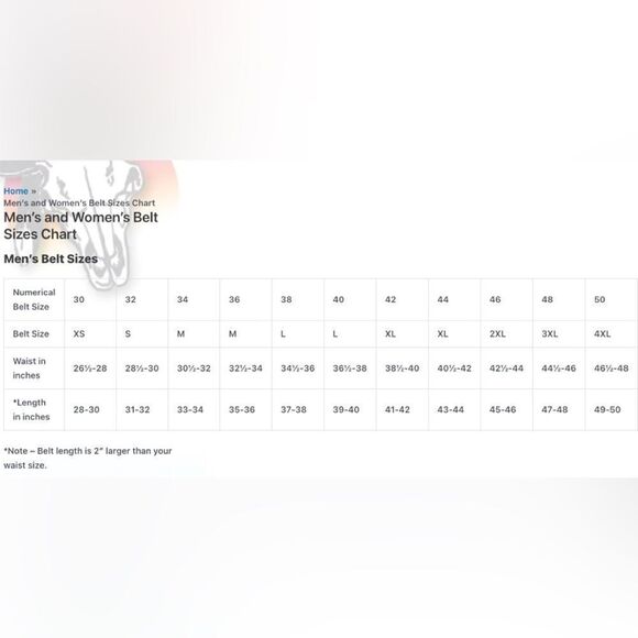 Genuine Top Grain Leather Brown Cowboy Western Stitching Silver Hardware 45/2XL - Picture 16 of 16